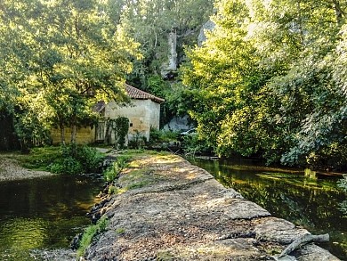 Boucle de Grand-Brassac - Bois de Sinzelles