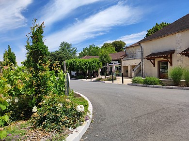 Boucle des roseaux et des orchidées