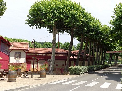 Circuit des Vignobles - à vélo