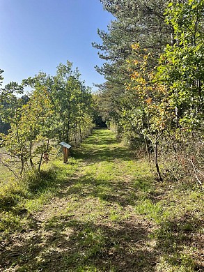 La Forêt de Sorbets - variante 2 - à pied