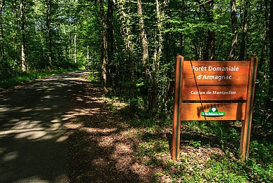 Le Sentier de Robert - a pied