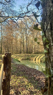 Dans la forêt d'Armagnac - à pied