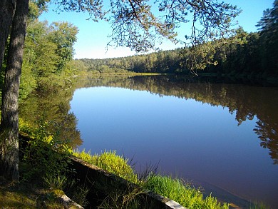 VTT - Flore du Chavanon - 41 km - circuit 22