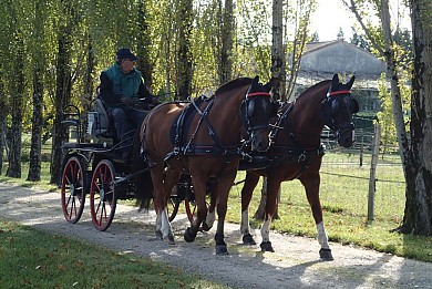 Tour de Donnezac au départ des Prés Perdus