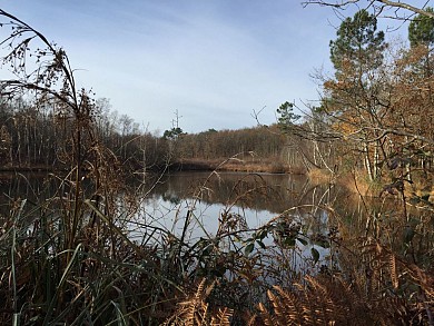 Au long de la Marguerite à cheval depuis l'éta ...