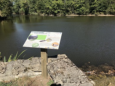 À la découverte des étangs du Roudillou de Bou ...