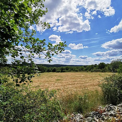 Les Mas du Causse - La Capelle Balaguier