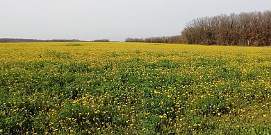 Circuit de la Vélude