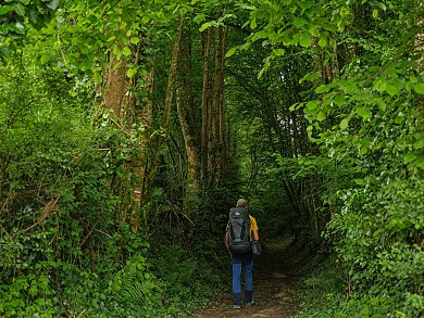 GR®46 - Etape 3 : de Beaumont à Chamboulive