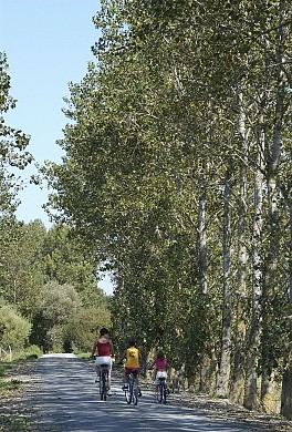 Boucle Milcendeau - Soullans