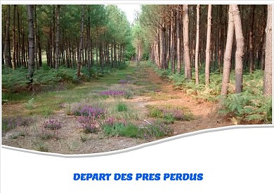 A cheval jusq'aux vignobles du nord de Reignac ...