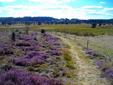 VTT - Ô Taphaleschas ! - 40 km - Circuit 10