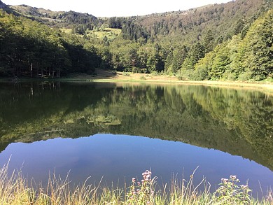 Le sentier de découverte de Moulzoune