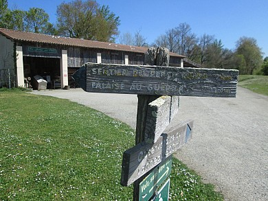 La balade aux oiseaux