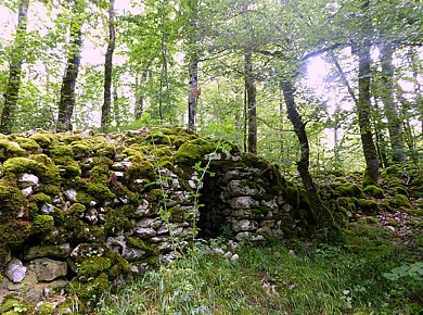 Les Orris et le château de Roquefixade