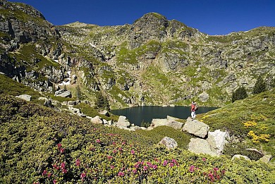Le Pic Saint Barthélemy