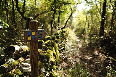 S2 Saint-Symphorien : Boucle d'Arxelme