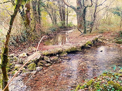 S5 Saint-Symphorien : Boucle de Farinel