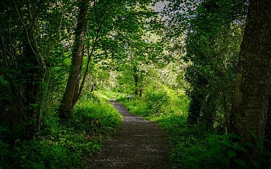 Balade à Roulettes n°3 : Baudreix entre gave e ...