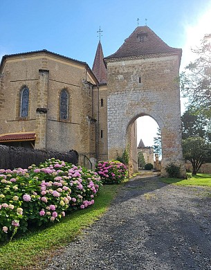 Sur le chemin de Saint-Jacques