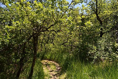 Montégut : Circuit de la Carrière