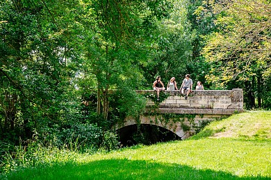Sentier des feuillus