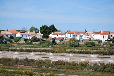 Sur les traces de Jacobsen - Ile de Noirmoutier