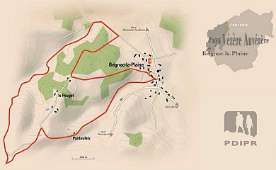 La forêt de Brignac