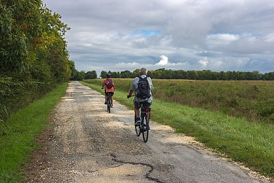 Tour de Gironde à vélo : étape 15 - Blaye / Bo ...