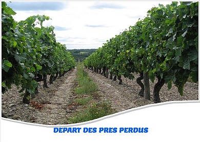 Le bocage Charentais au départ des Prés Perdus