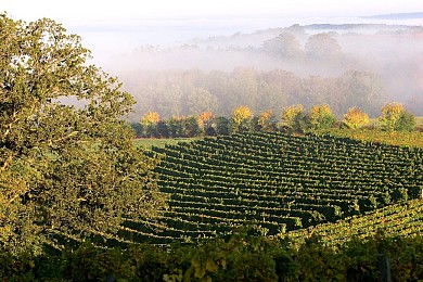 SUR LES PAS DE MONTESPAN - PR 21 - Cazeneuve