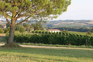 DE FERMES EN CHÂTEAUX - PR 14 - Larroque-sur-l ...