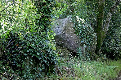 SAINT-MESMIN / Les Ecobues
