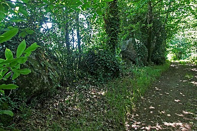 SAINT-MESMIN / Le Bois de l'Audraire