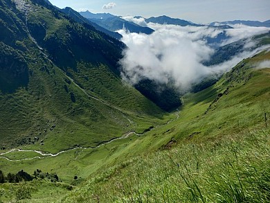 Les étangs de la Frèche (24)