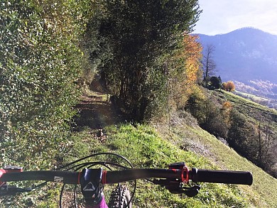 VTT N°6 - Fougeraies de Laünde