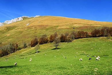 N°7 Aspe - Col de Laünde