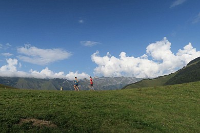 N°24 Trail de Bergout