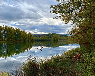 N°31 - NORDIQUE - CANAL