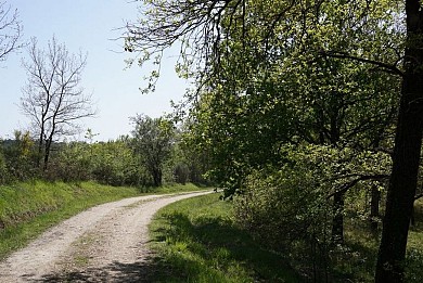 Boucle de Café Rouge - Saint Pierre d'Eyraud