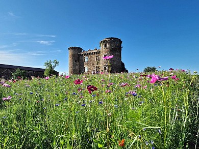 Circuit vélo n°14 du Pays Decazevillois - Vall ...