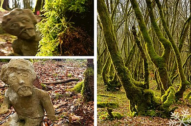 Les amoureux de la Forêt de Blanchefort