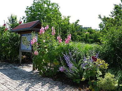 PRADOULIN VERT - VTT-FFC 1 - Lectoure