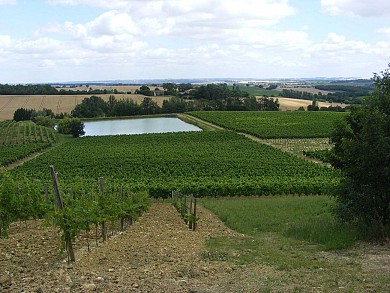 FORET DE RÉJAUMONT - VTT-FFC 17 - FLEURANCE