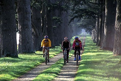 PRADOULIN BLEU - VTT-FFC 2 - Lectoure