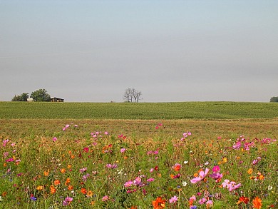 Sentier Dels Galloromans