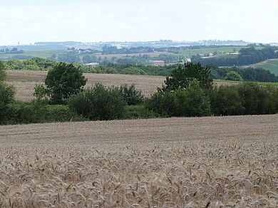 SAINTE RADEGONDE - VTT-FFC 18 - Fleurance
