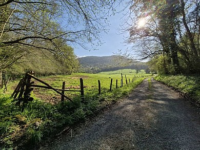 Promenade autour d'Ardiège (85)