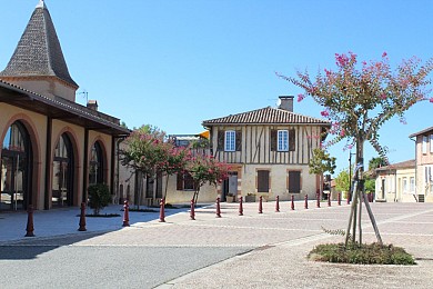 CR1 - Le petit jaune