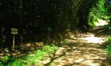 Le chemin des Vallées